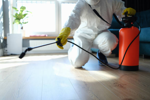 Reliable Infectious Disease Decontamination contractor in Pollock Pines, CA by Crime Scene Cleaner Online